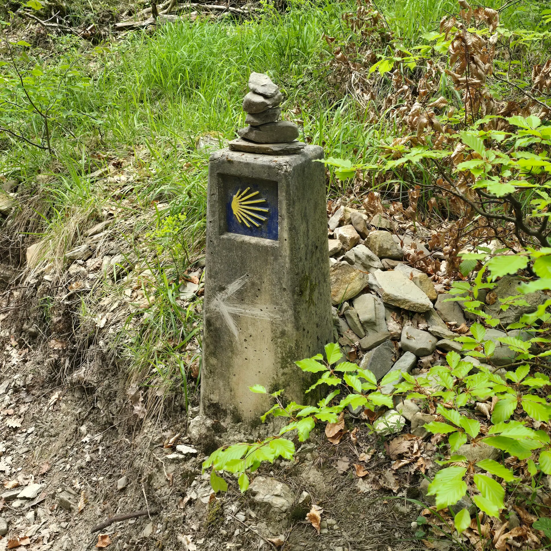 Billede fra pilgrimsvandringen på Caminoen, 10